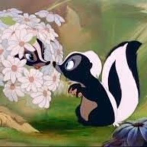 Meet your Posher, Lois